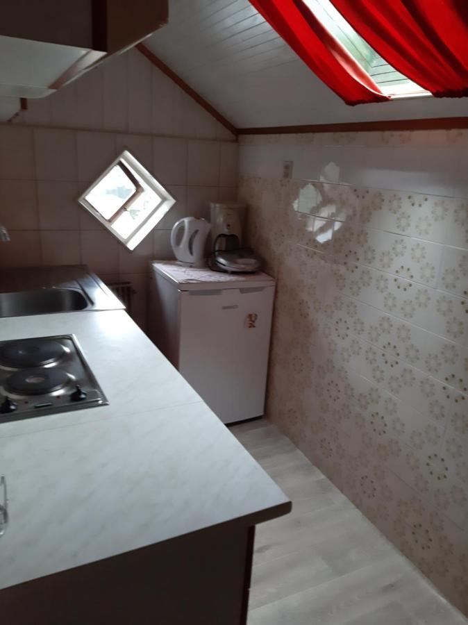 Apartments Gale Delnice Dış mekan fotoğraf